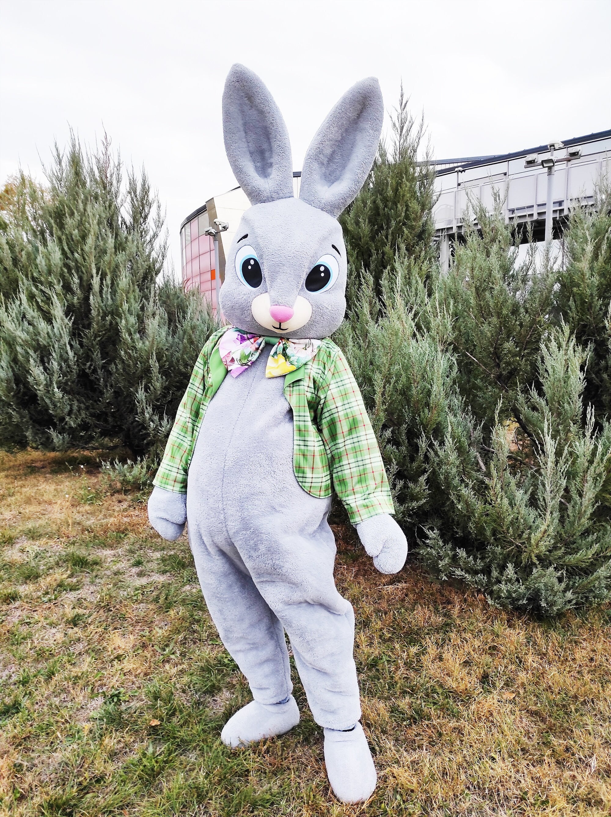 Lapin de Pâques Mascotte Cosplay Costume Halloween Personnage de dessin  animé Lapin de Pâques Adulte Fancy Dress Costumes Fête d’anniversaire