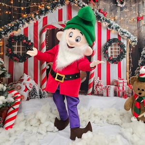 Christmas Elf Costume, Adult Mascot Costume, Party Mascot Costume, Event Mascot Costume, Birthday Party Costume, Luxury