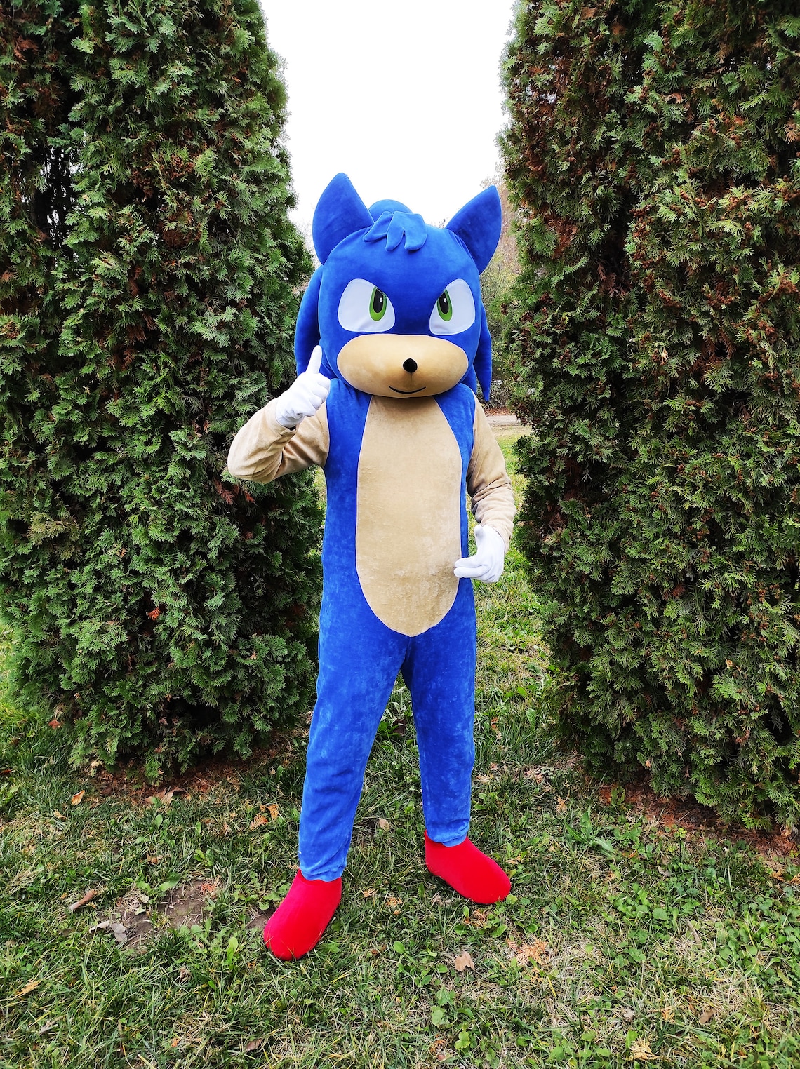 Sonic Mascot Costume, Sonic the Hedgehog, Party Mascot Costume, Event