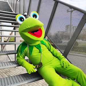 The Frog Mascot Costume, Adult Mascot Costume, Party Mascot Costume, Event Mascot Costume, Birthday Party Costume, Luxury Mascot Costume