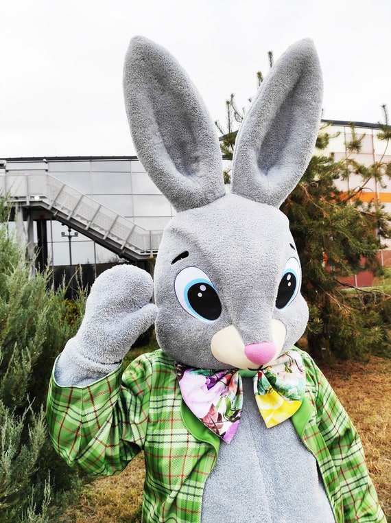 Costume de lapin de Pâques, Mascotte de lapin de Pâques sur tout le corps, Homme