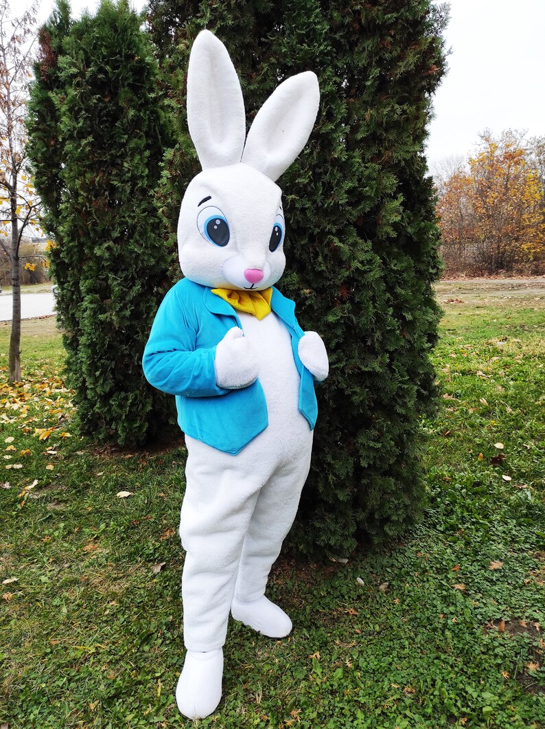 Easter Bunny Mascot Costume, Adult Mascot Costume, Party Mascot Costume