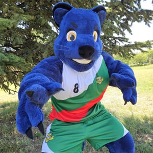 The Panther JoJi Mascot Costume, Adult Mascot Costume, Party Mascot Costume, Event Mascot Costume, Birthday Party Costume, Luxury Costume