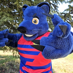 The Panther JoJi Mascot Costume, Adult Mascot Costume, Party Mascot Costume, Event Mascot Costume, Birthday Party Costume, Luxury Costume