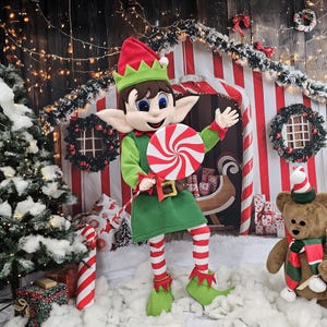 Christmas Elf Costume, Adult Mascot Costume, Party Mascot Costume, Event Mascot Costume, Birthday Party Costume, Luxury
