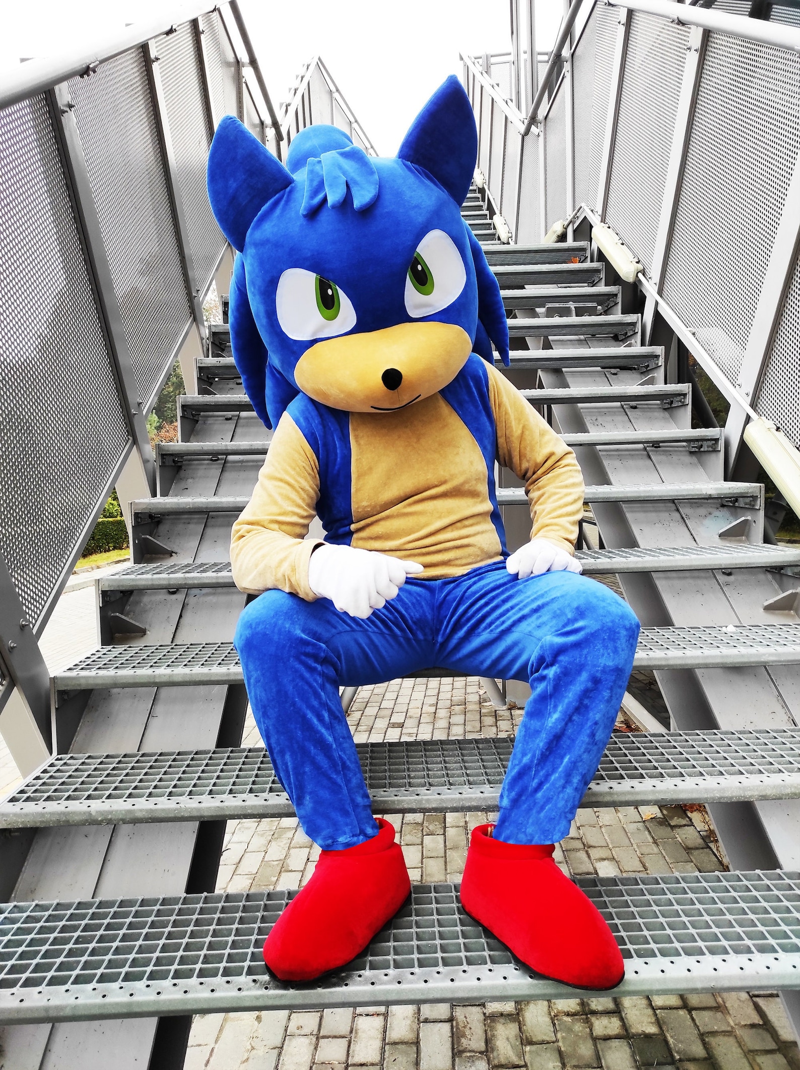 Sonic Mascot Costume, Sonic the Hedgehog, Party Mascot Costume, Event