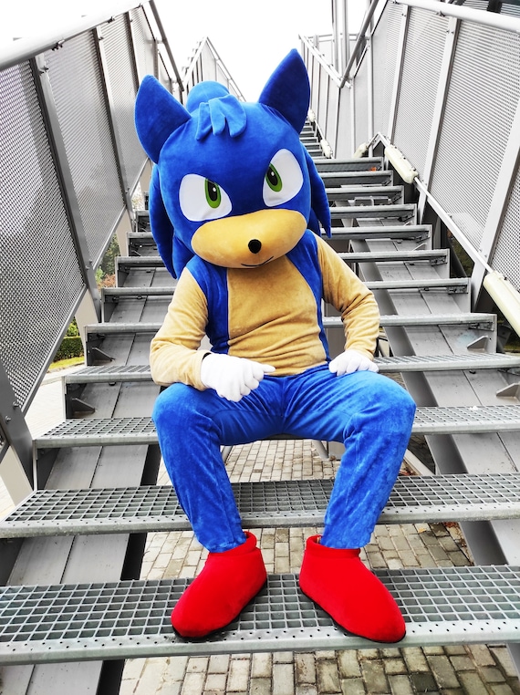 Sonic Mascot Costume, Sonic the Hedgehog, Party Mascot Costume, Event  Mascot Costume, Birthday Party Costume, Luxury Mascot Costume 