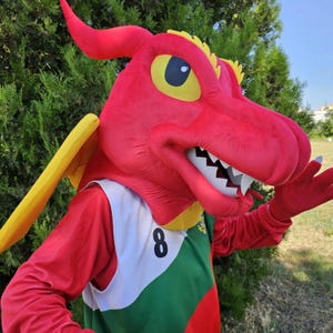 My Dragon Mascot Costume, Adult Mascot Costume, Party Mascot Costume, Event Mascot Costume, Birthday Party Costume, Luxury Costume