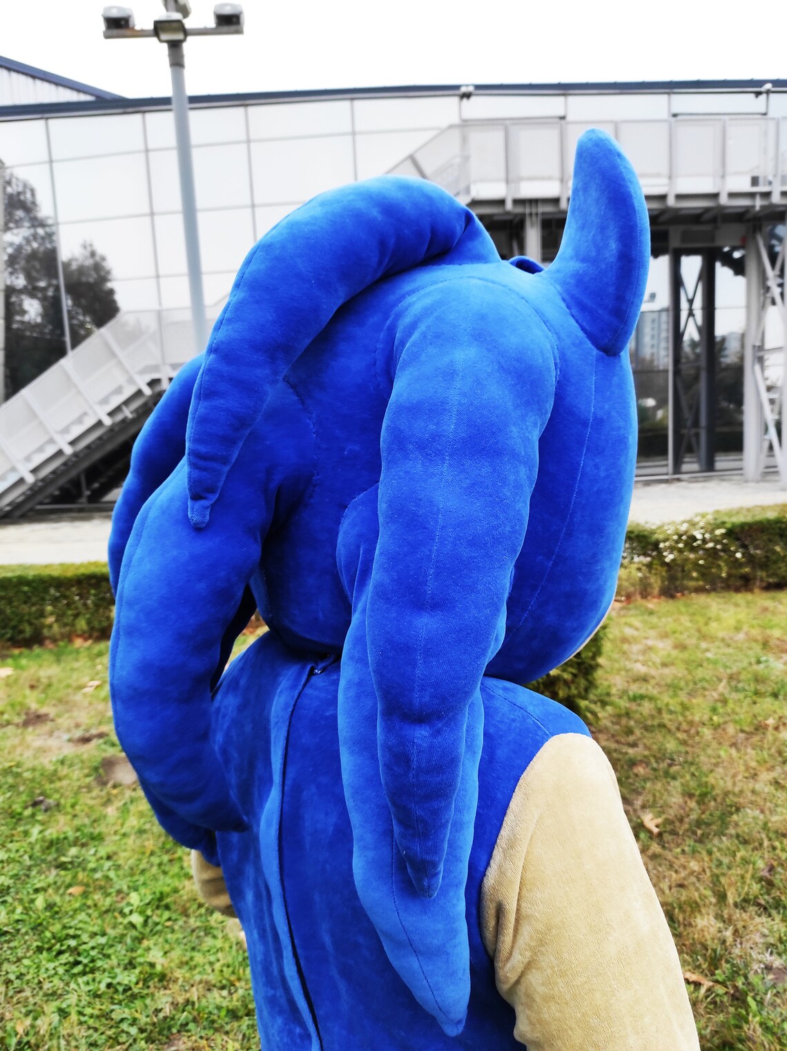 Sonic Mascot Costume, Sonic the Hedgehog, Party Mascot Costume, Event