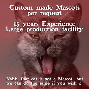 Custom Made Mascots, Adult Mascot Costume, Party Mascot Costume, Event Mascot Costume, Birthday Party Costume, Luxury Costume