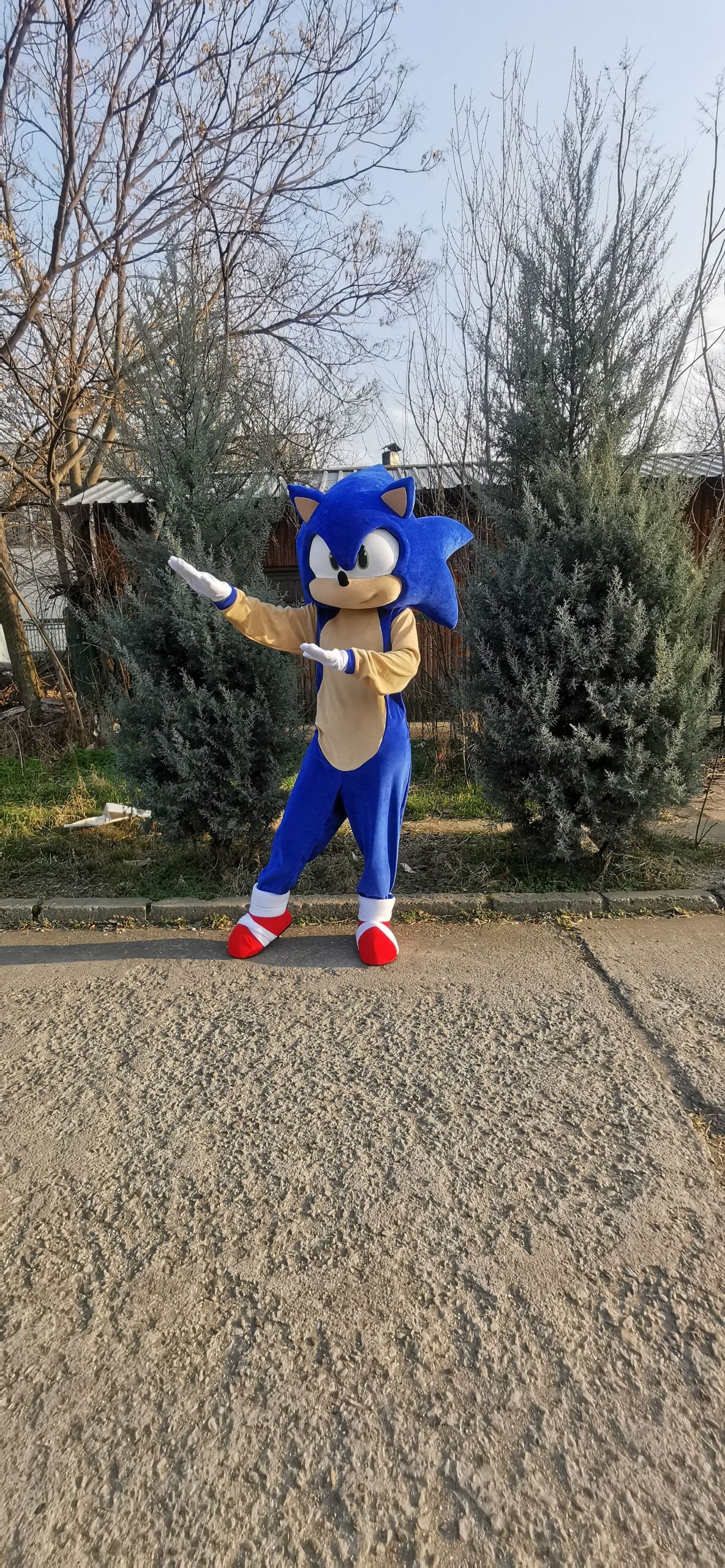 NEW Sonic Mascot Costume Sonic the Hedgehog Party Mascot Etsy