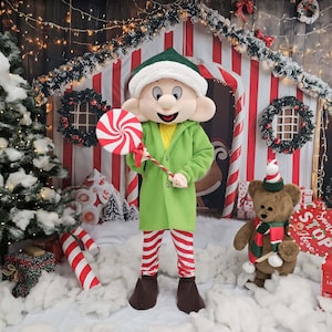 Christmas Elf Costume, Adult Mascot Costume, Party Mascot Costume, Event Mascot Costume, Birthday Party Costume, Luxury