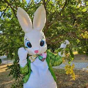 Easter Bunny Mascot Costume DHL EXPRESS DELIVERY