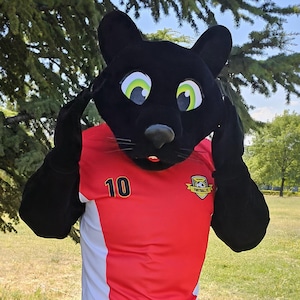 Black Panther Mascot Costume, Adult Mascot Costume, Party Mascot Costume, Event Mascot Costume, Birthday Party Costume, Luxury Costume