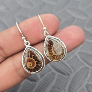May include: A pair of drop earrings featuring teardrop-shaped ammonite fossils set in polished silver frames. Each fossil displays a natural brown spiral pattern. The earrings hang from simple silver hooks, showcasing the intricate details of the prehistoric shells.
