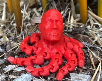 3D Printed Dwayne Johnson Roctopus, Sensory Fidget Desk Toy