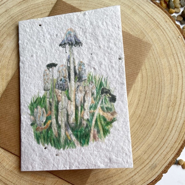 Tall Mushroom Card/ Wild Natural Toadstool Gift/ Organic Original Art Fungus Notelet/ Wild Nature Grassland Colour Sketch Card/ Meadow Art.