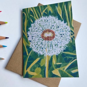 May include: A white dandelion with a red centre, drawn in coloured pencil, against a green background.