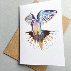May include: A colourful drawing of a bird with its wings spread out in flight. The bird is drawn in shades of blue, pink, yellow, and brown.