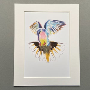 May include: A colourful illustration of a bird with blue, pink, yellow and white feathers. The bird is in flight with its wings spread wide. The illustration is done in pencil and coloured pencil on white paper.