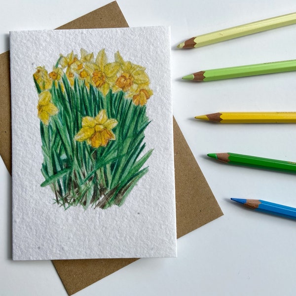 Daffodils Wildflower Seed card/ Springtime Flowers in the Garden Notelet/ English Spring Bulbs Original Art/ New Life Spring Card