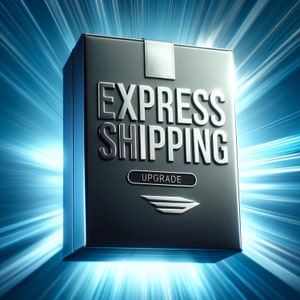 May include: A black box with the words "EXPRESS SHIPPING" in silver lettering and the word "UPGRADE" in a white rectangle. A silver airplane wing design is below the word "UPGRADE".