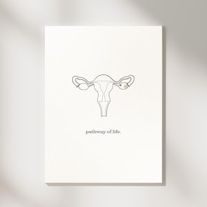 May include: A black and white line drawing of a female reproductive system with the text "pathway of life."