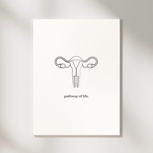 May include: A minimalist line drawing of the female reproductive system on a white background. The artwork features a uterus with fallopian tubes and a staircase leading up from the bottom. The text "pathway of life" is below the drawing.