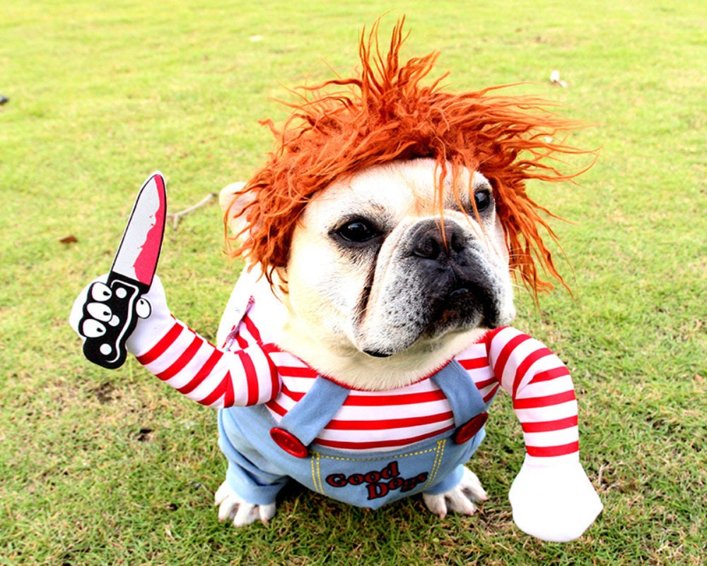 pitbull chucky costume