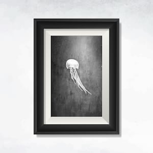 Elegant Jellyfish Black and White Ocean Life Photo Print Art Home Decor Modern Art Print Gift for Art Lovers Photography Ocean Life