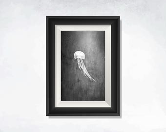 北極海に生息する深海クラゲ、Crossota millsae。 - Etsy 日本