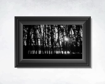 Black and White Sunset Tree Silhouette Print – Minimalist Nature Photography Wall Art, Monochrome Landscape Decor, Modern Home Art