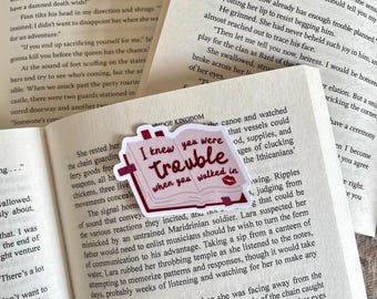 Ich wusste, dass du Ärger bedeuten würdest, als du reinkamst | TS-Zitat | Aufkleber | Bücherliebhaber | Bücheraufkleber | Bücherkram