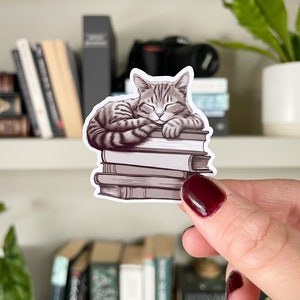 May include: A grey and white tabby cat sleeping on a stack of books. The cat is curled up on the top book, with its head resting on the second book. The books are all different sizes and colours.
