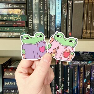 Op de afbeelding: Twee kikkerstickers worden voor een boekenplank gehouden. Eén kikker zit in een paars boek met een roze hart, de andere in een roze boek met een hart in brand. De achtergrond is een boekenplank vol boeken.