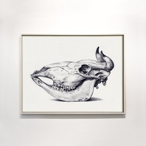 Skull of a Cow Printable - Jean Bernard Drawing Print - Sketch Wall Art - Pencil Drawing Print - Charcoal Animal Skull Art Print - Download
