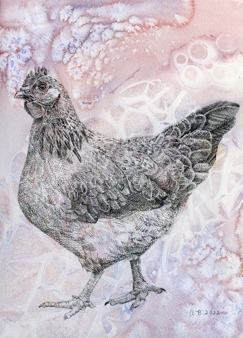 Chicken Shadow Ink Watercolor Pen and Ink Chicken - Etsy