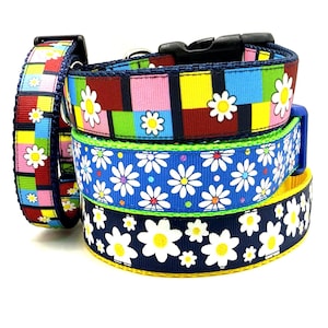 Daisy Dog Collar