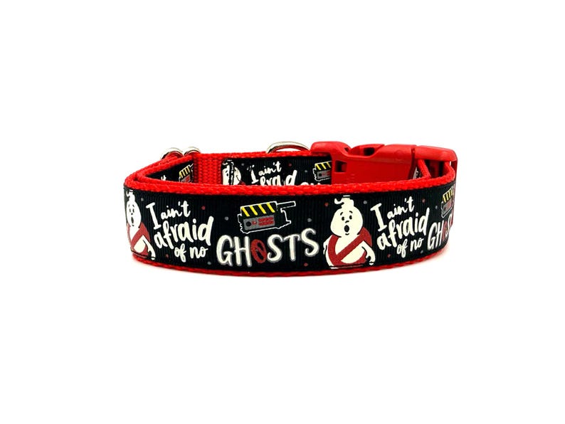 No Ghosts Dog Collar image 4