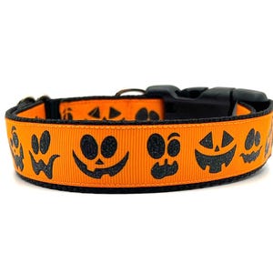 Pumpkin Faces Dog Collar