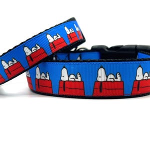 Doghouse Dog Collar