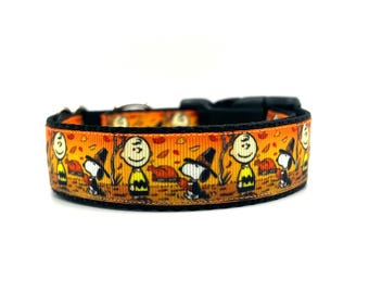 Pilgrim Beagle Dog Collar