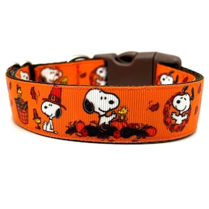 Thankful Dog Collar