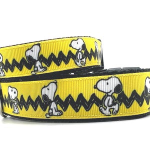 Beagle Dog Collar