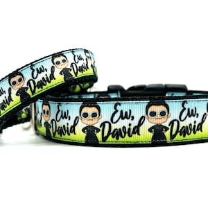 Collar para perro Ew David
