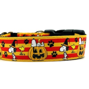 Halloween Beagle Dog Collar