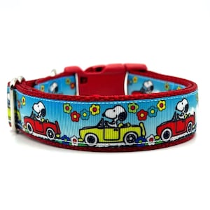 Out For a Drive Dog Collar