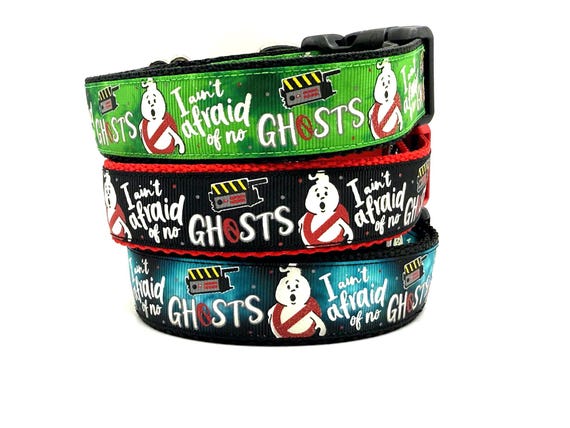 No Ghosts Dog Collar