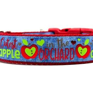 Cutest Apple in the Orchard Dog Collar