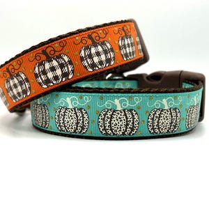 Preppy Pumpkins Dog Collar